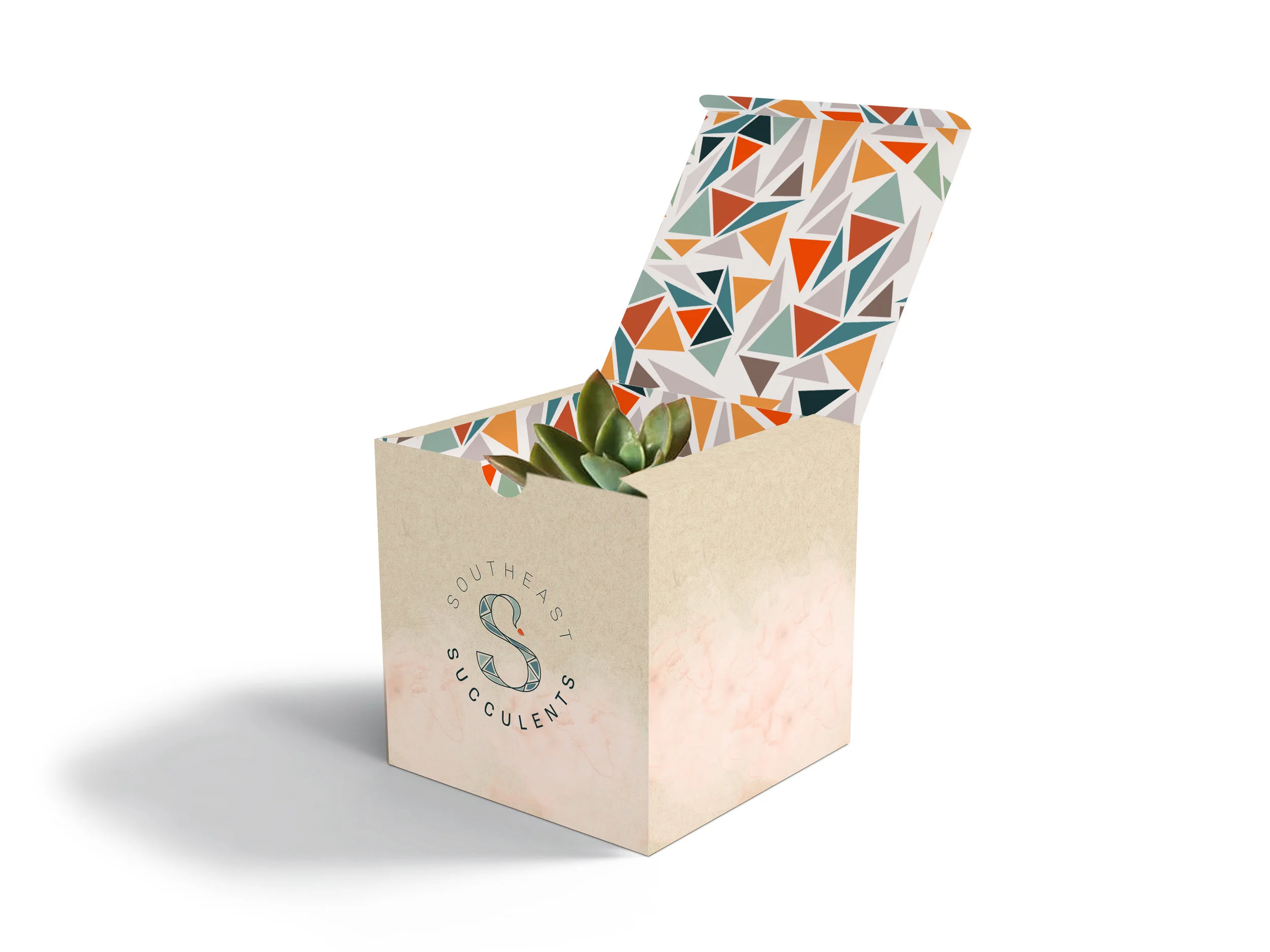 succulent gift box.jpg