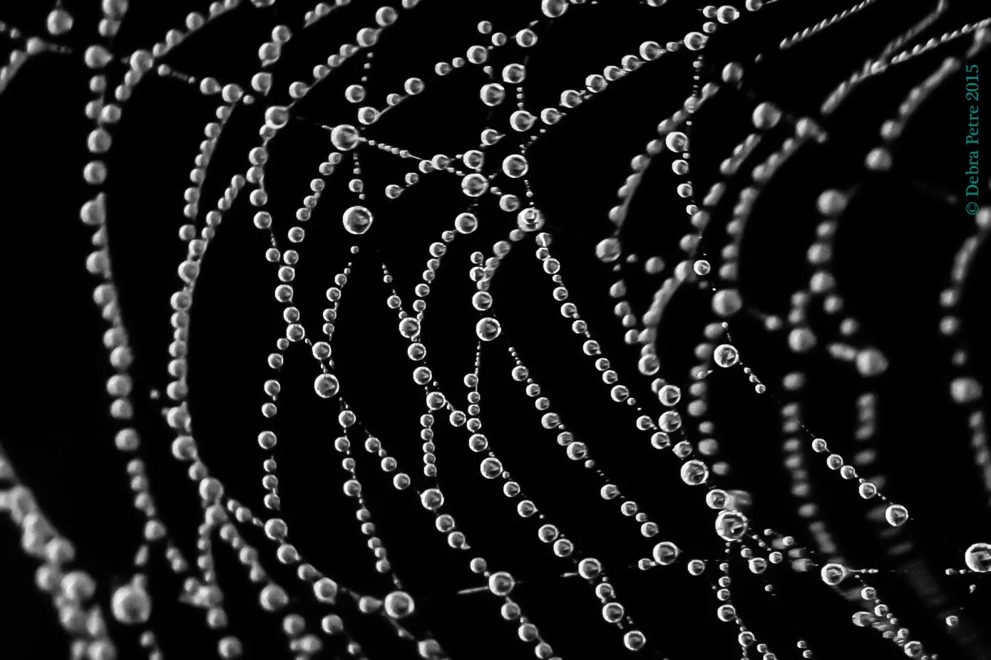 beadsofaweb_highres.jpg