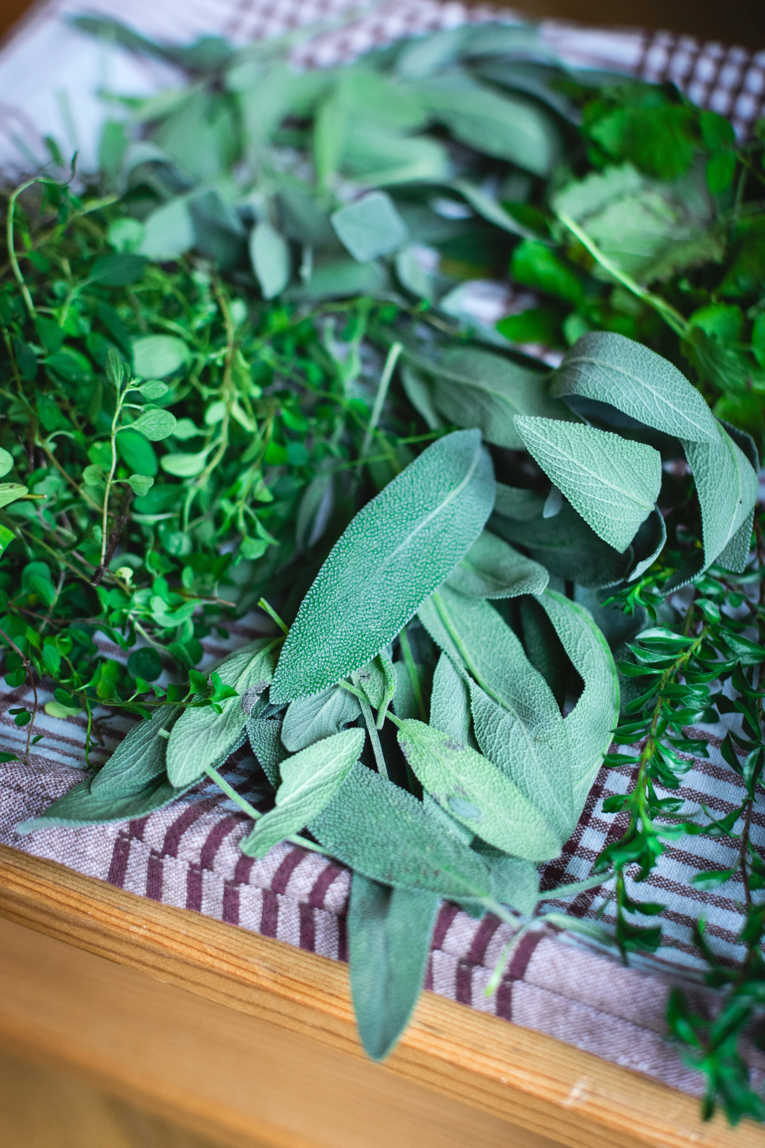 Herbs.jpg