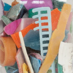 Basia_Goszczynska_Rainbow_Collection_link.jpg