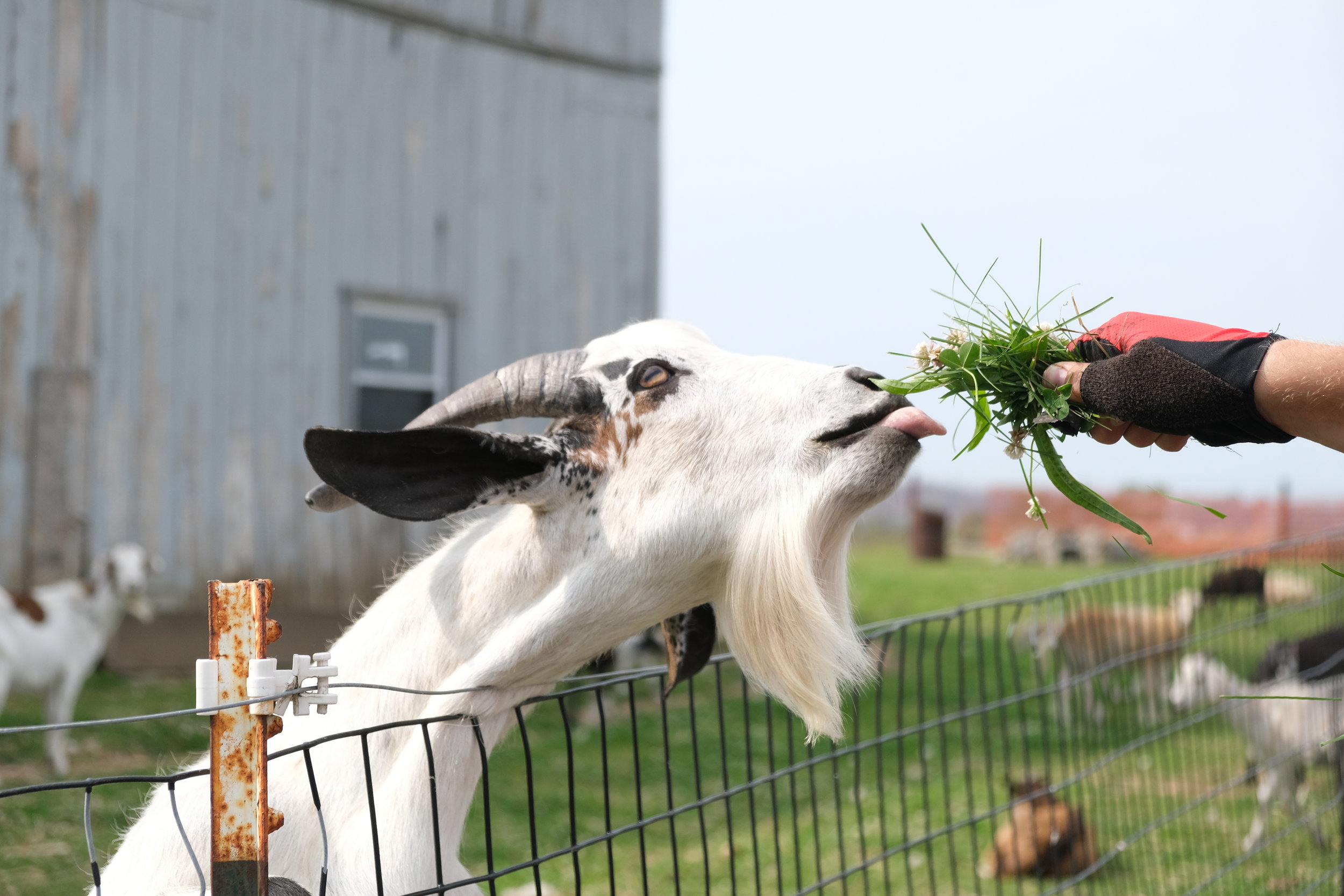 Turning Point (USA Day 10)