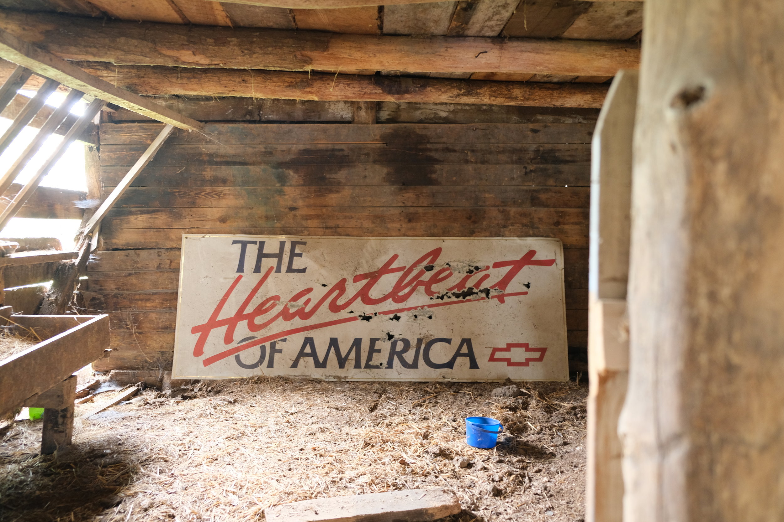 Count Your Blessings, Not Your Chickens (USA Day 13)