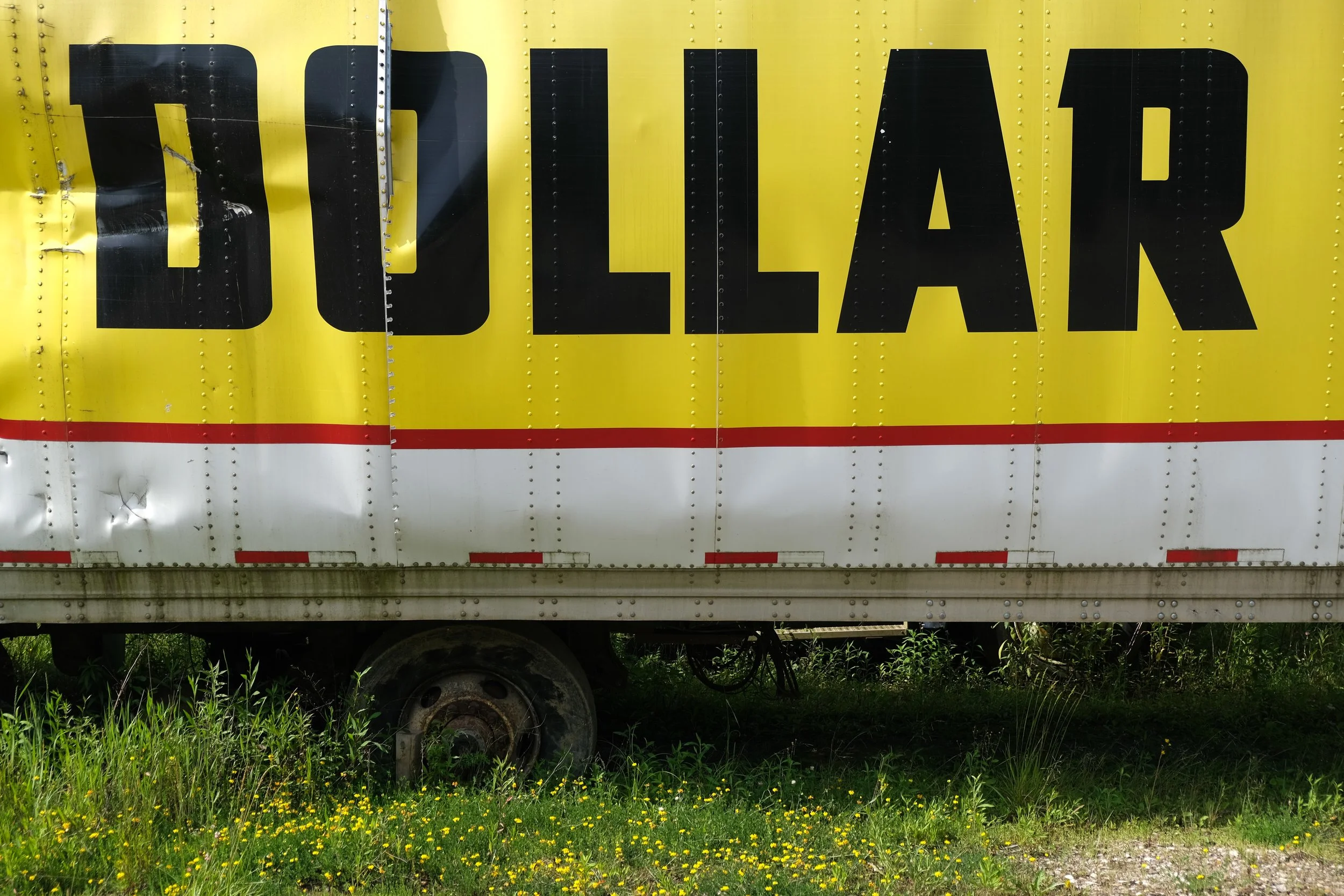 Bitten By a Radioactive Bag of Basmati Rice, Its... (USA Day 21)