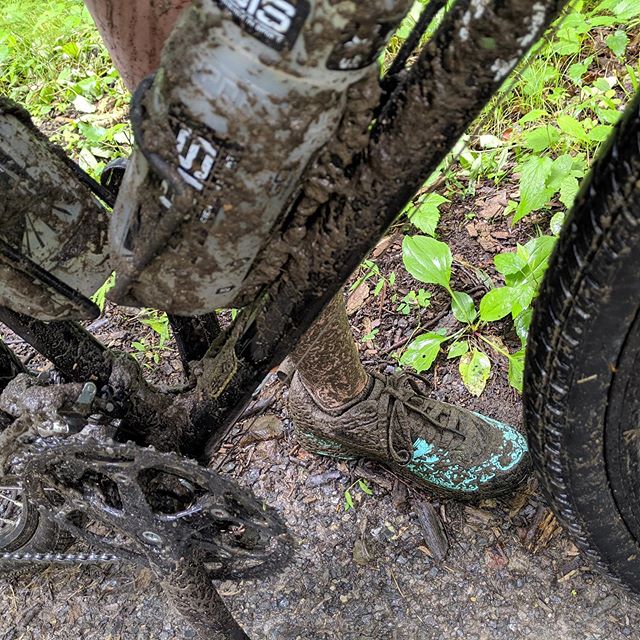 How much mud could a mudblood mud if a mudblood could blood mud?