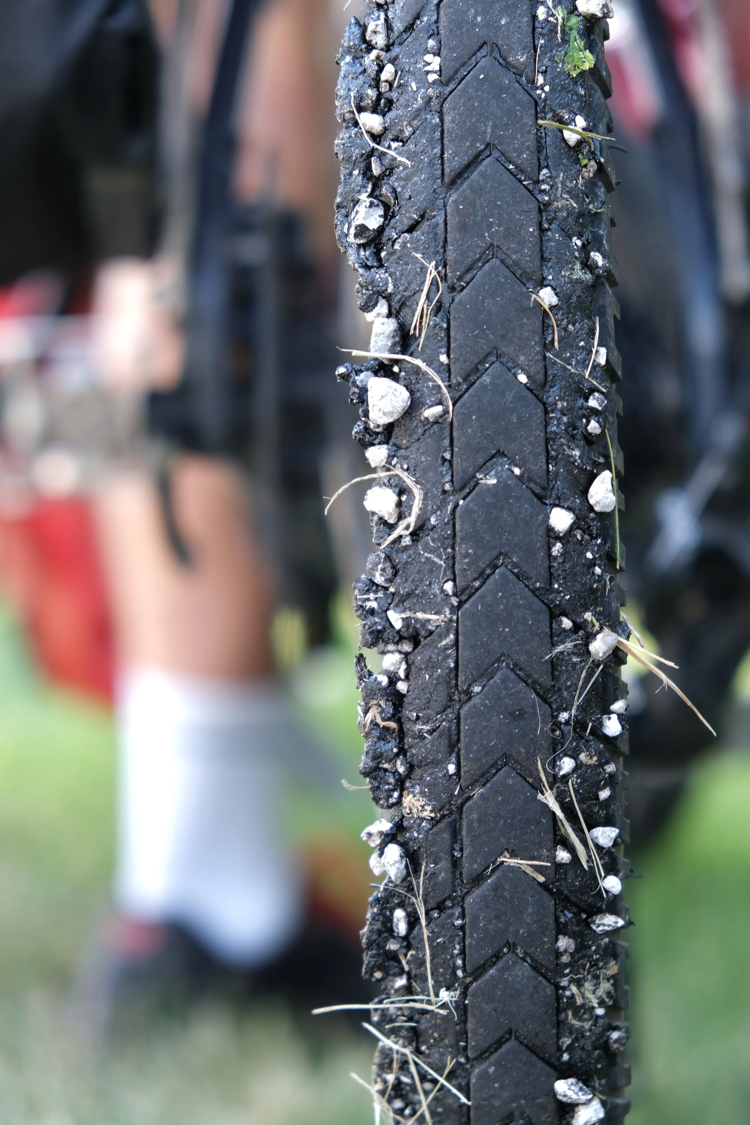 Road Rash (USA Day 37)