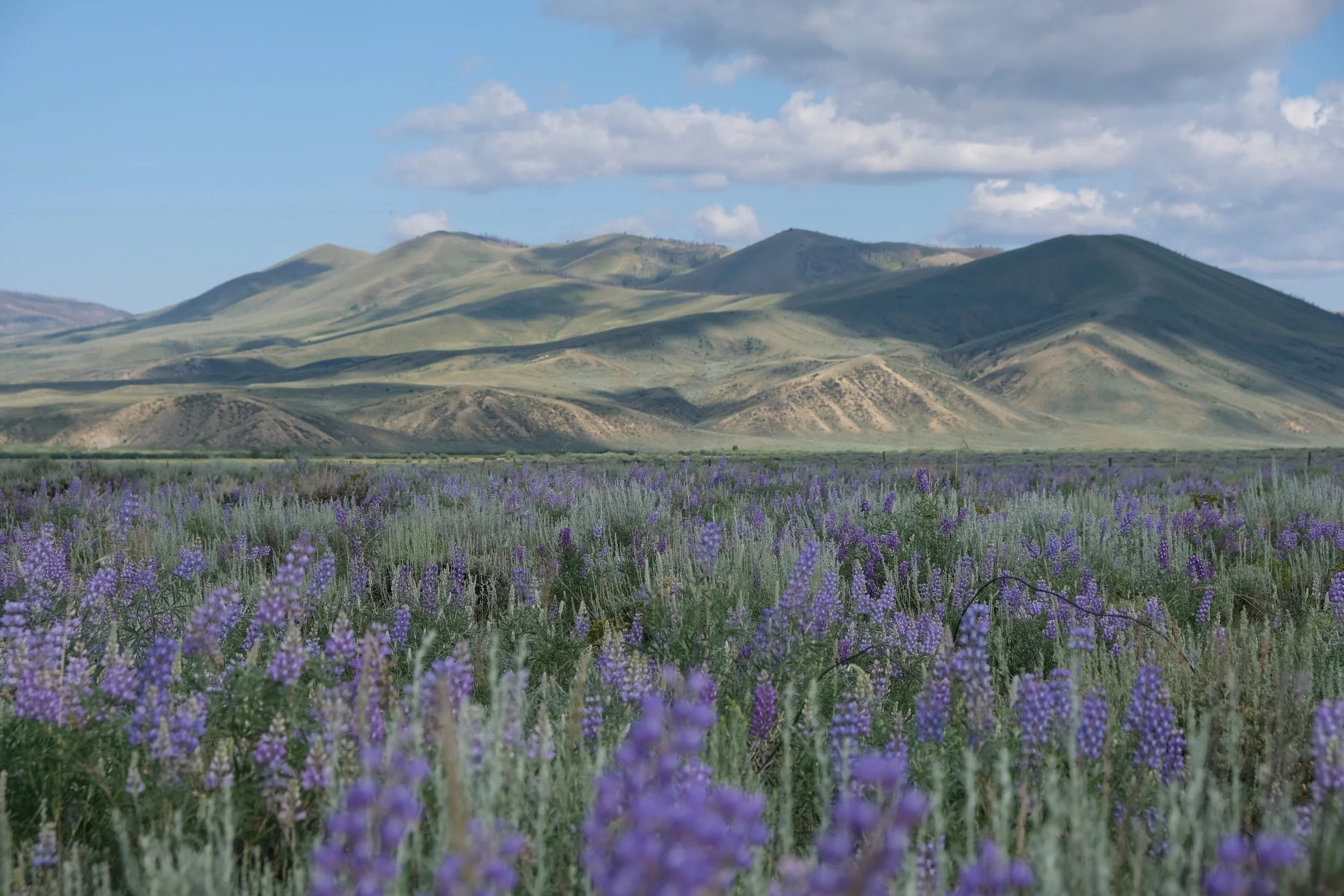 Come to Wyoming, We Got Headwind (USA Day 63)