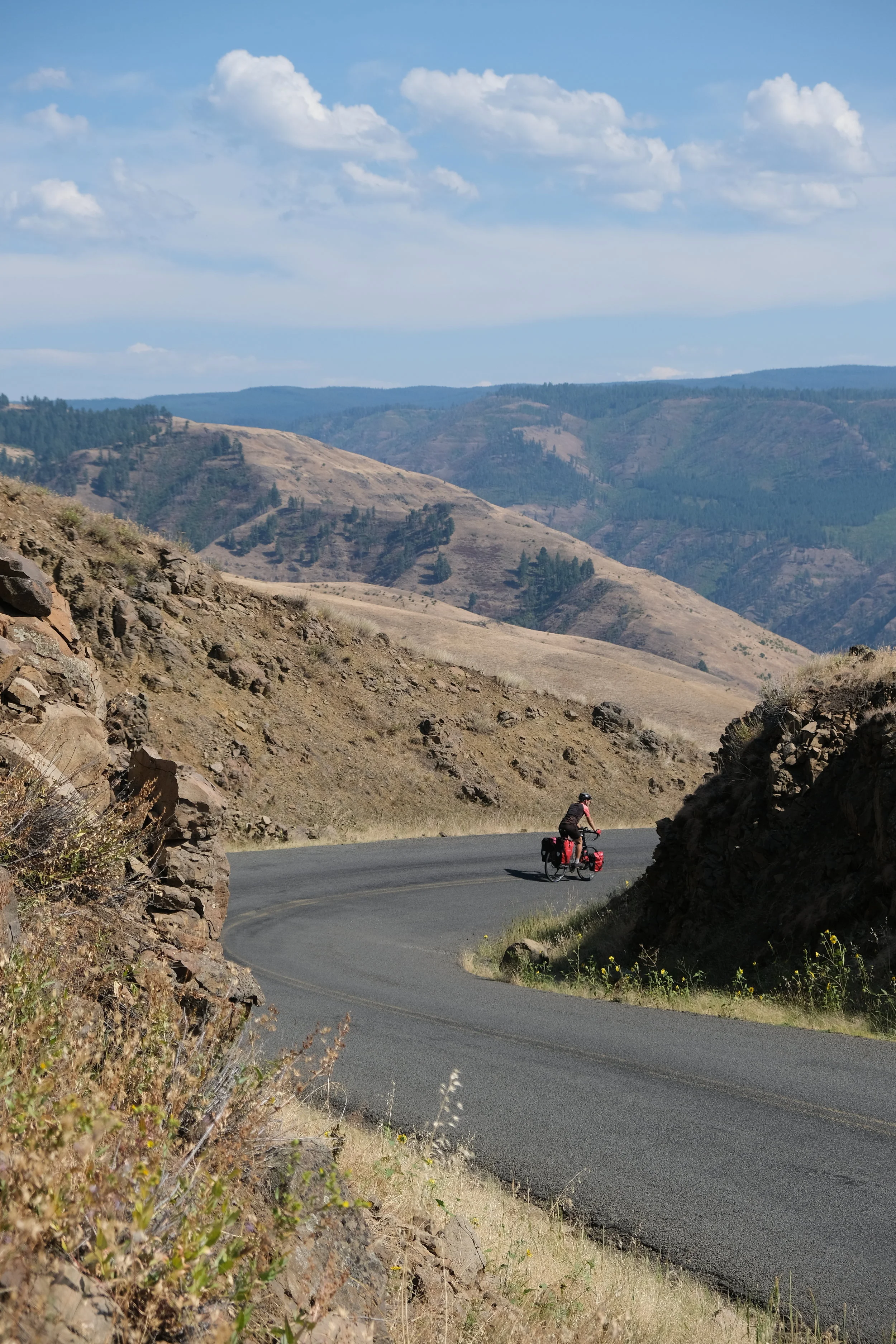 And Your Bird Can Sing (USA Day 86)