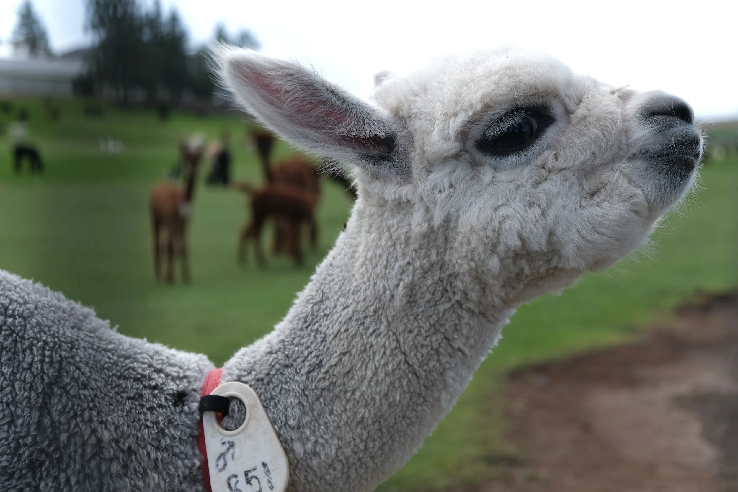 Two of Us (USA Day 95)