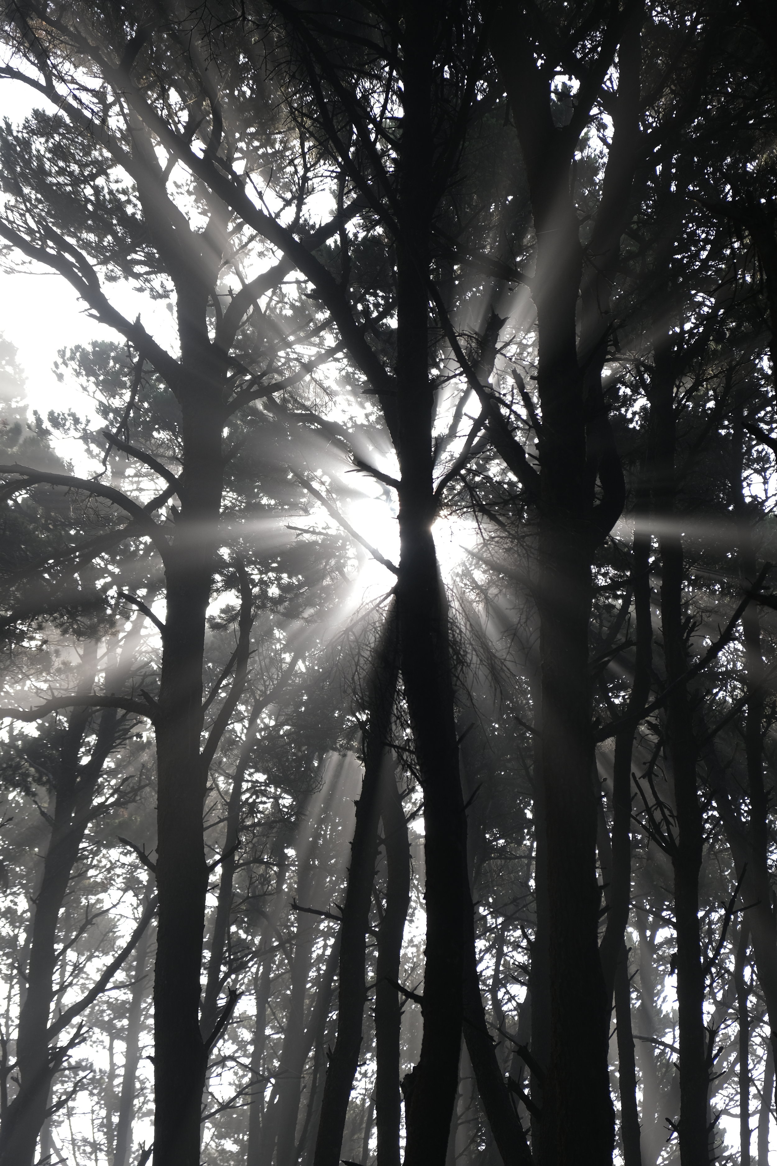 Try a Little Tender-nitis (USA Day 110)