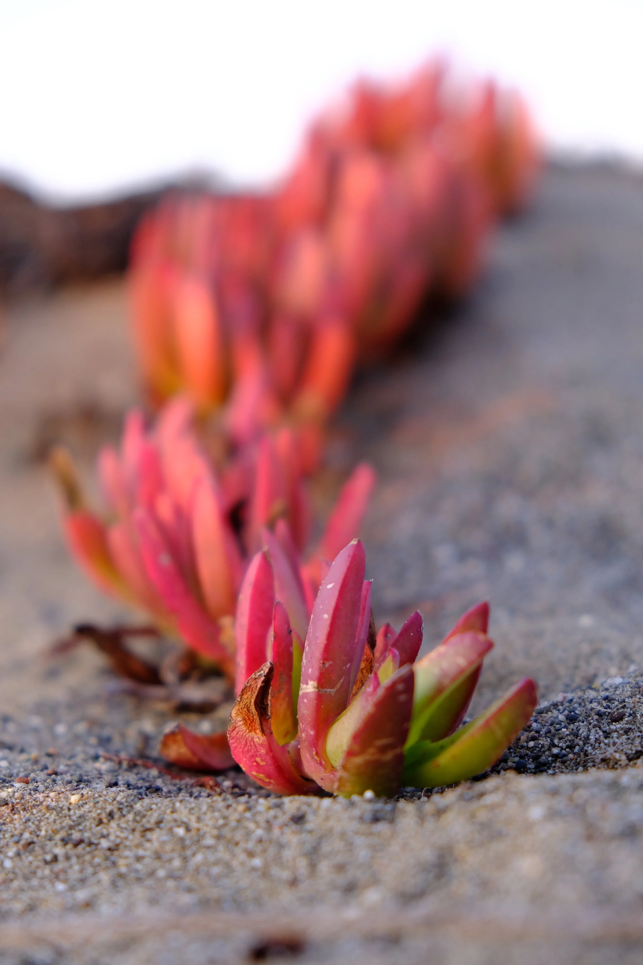 Coasting (USA Day 128)