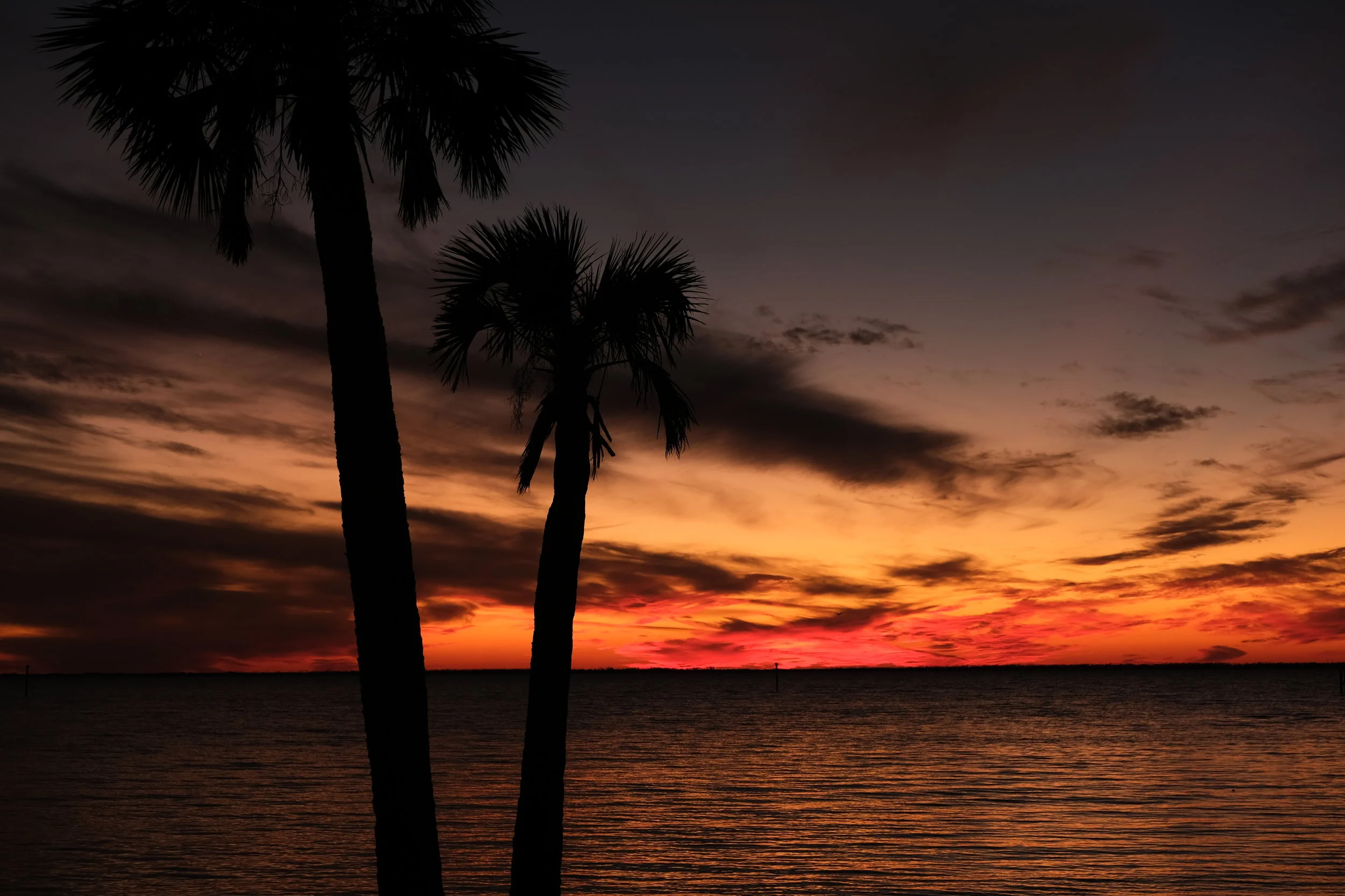 Surveying The Damage (USA Day 160)