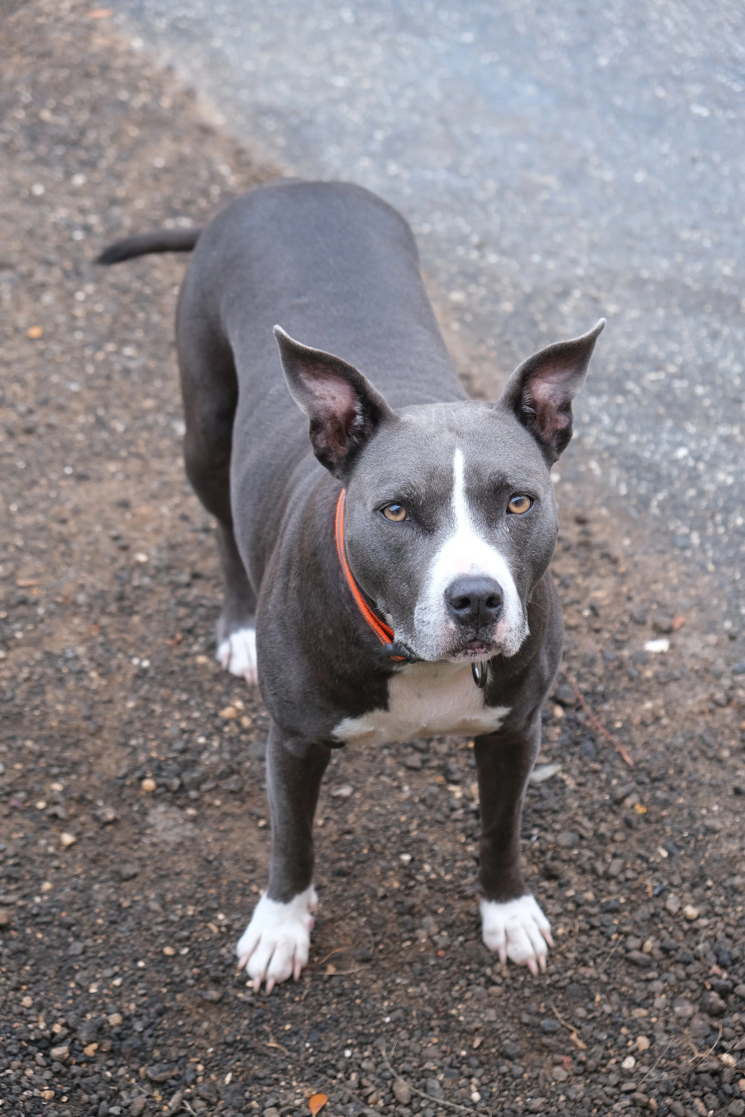 Every Cloud (USA Day 162)