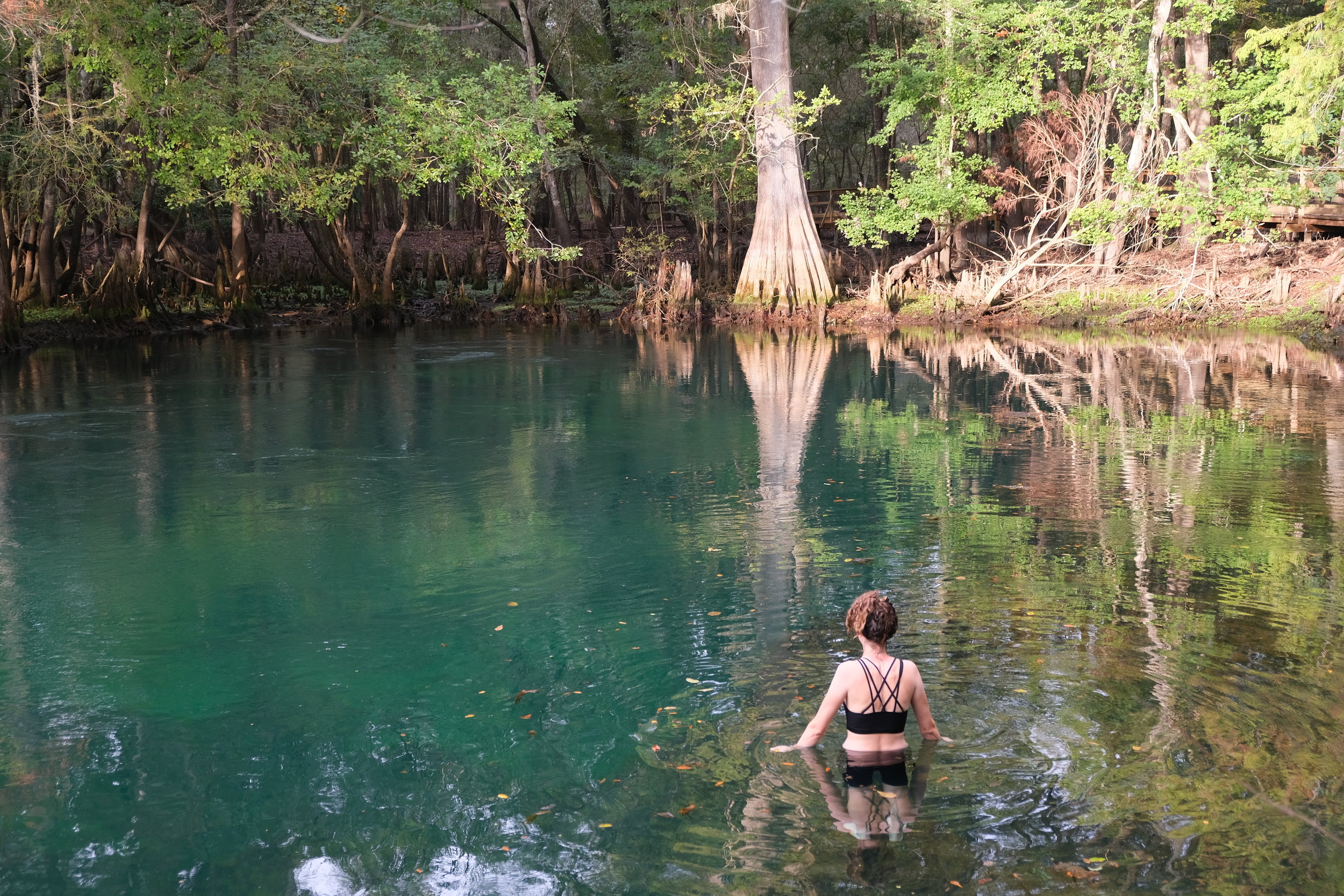 Way Down Upon The Swanny River (USA Day 163)