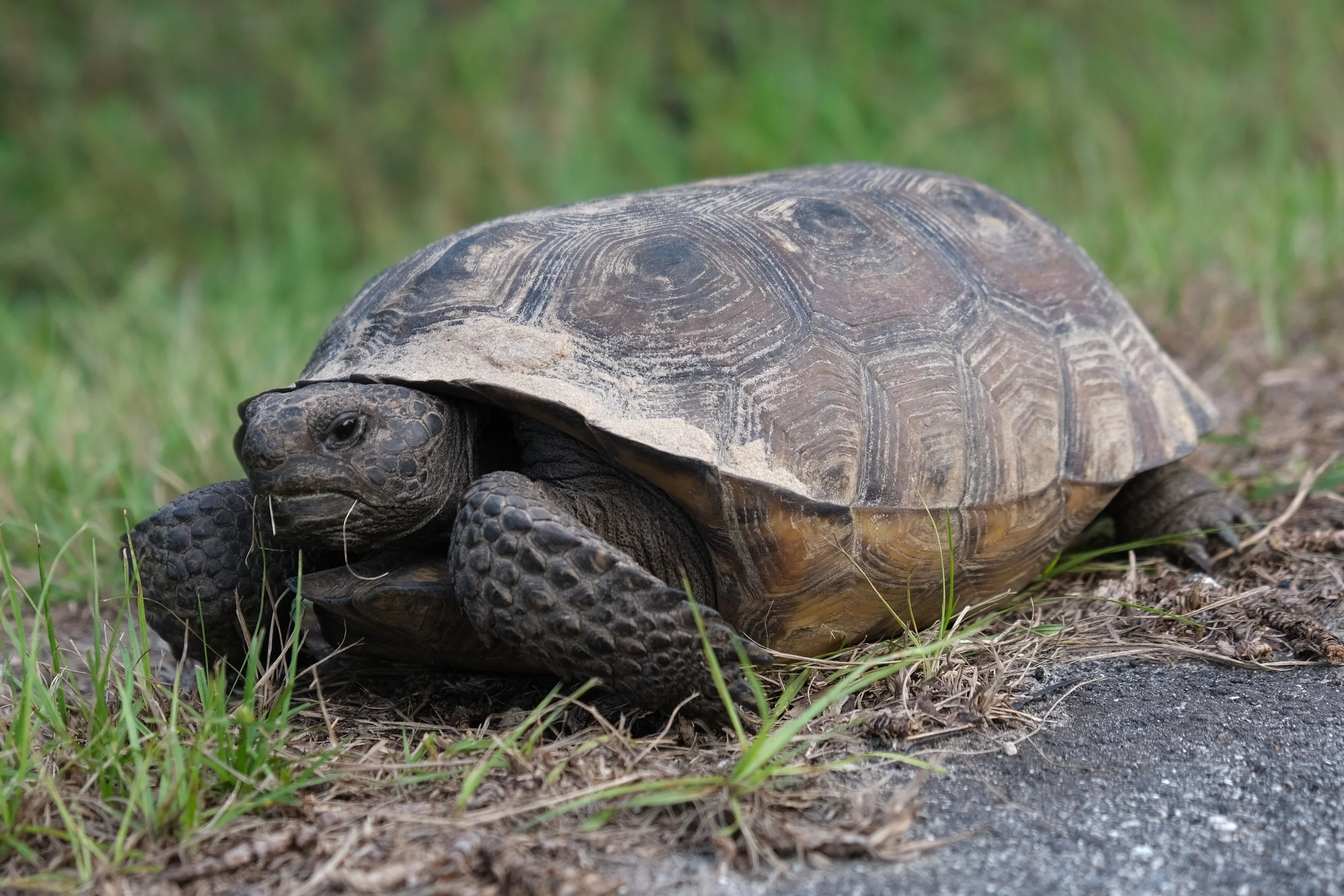 The Roundabout Conundrum (USA Days 168 &amp; 169)