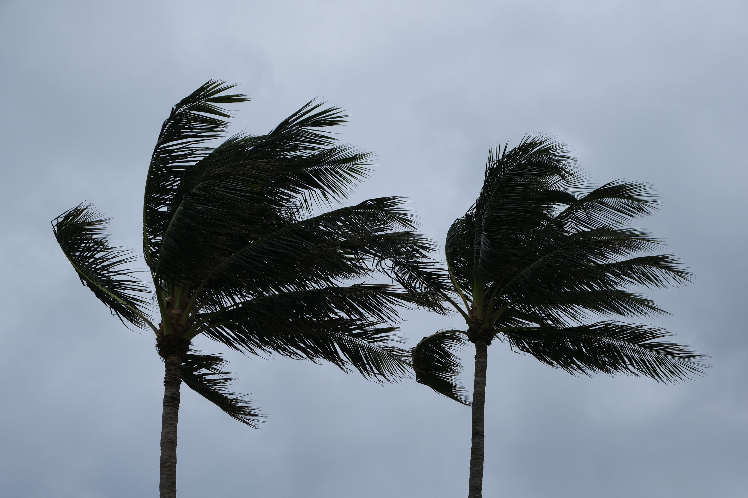 Bring a Snorkel (USA Day 172)