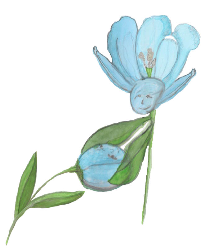 Growth
