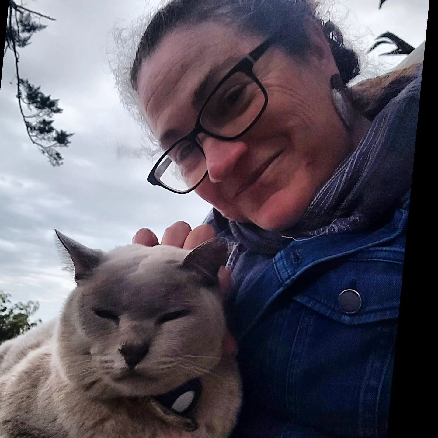 Happy #worldanimalday. This is Louis the barn cat, keeping me warm. I'll tell you more about Louis in my journal later this week, so make sure you check in! Happy Wednesday everyone !