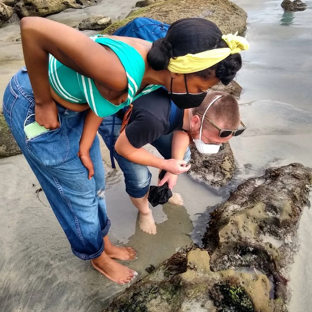 SnorkelMatt LLC Quality Nature Tours in San Diego