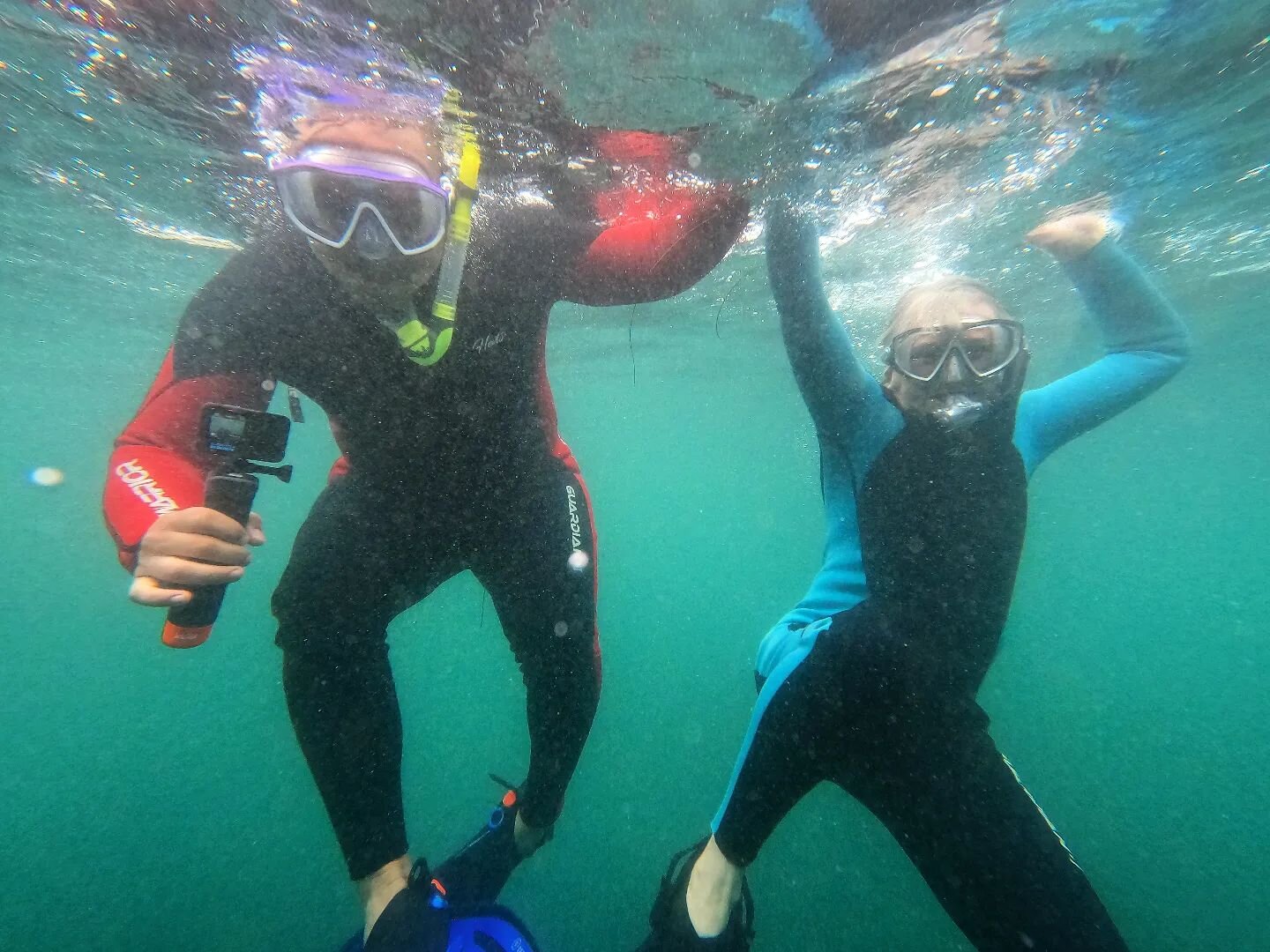 Every day we have some fun in the water! Sign up today!
.
.
.
#adventure #snorkel #sandiego #california #ocean #swimming #family #fun #travel