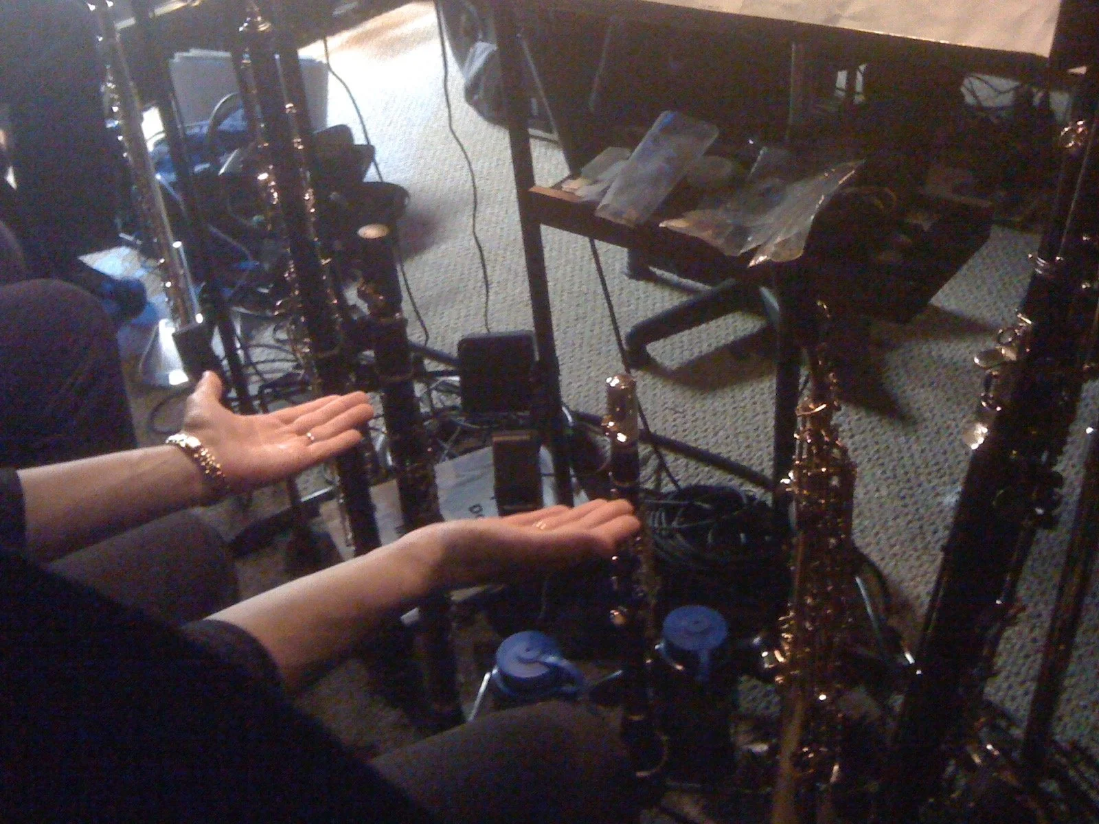 The Wiz at the Stranahan