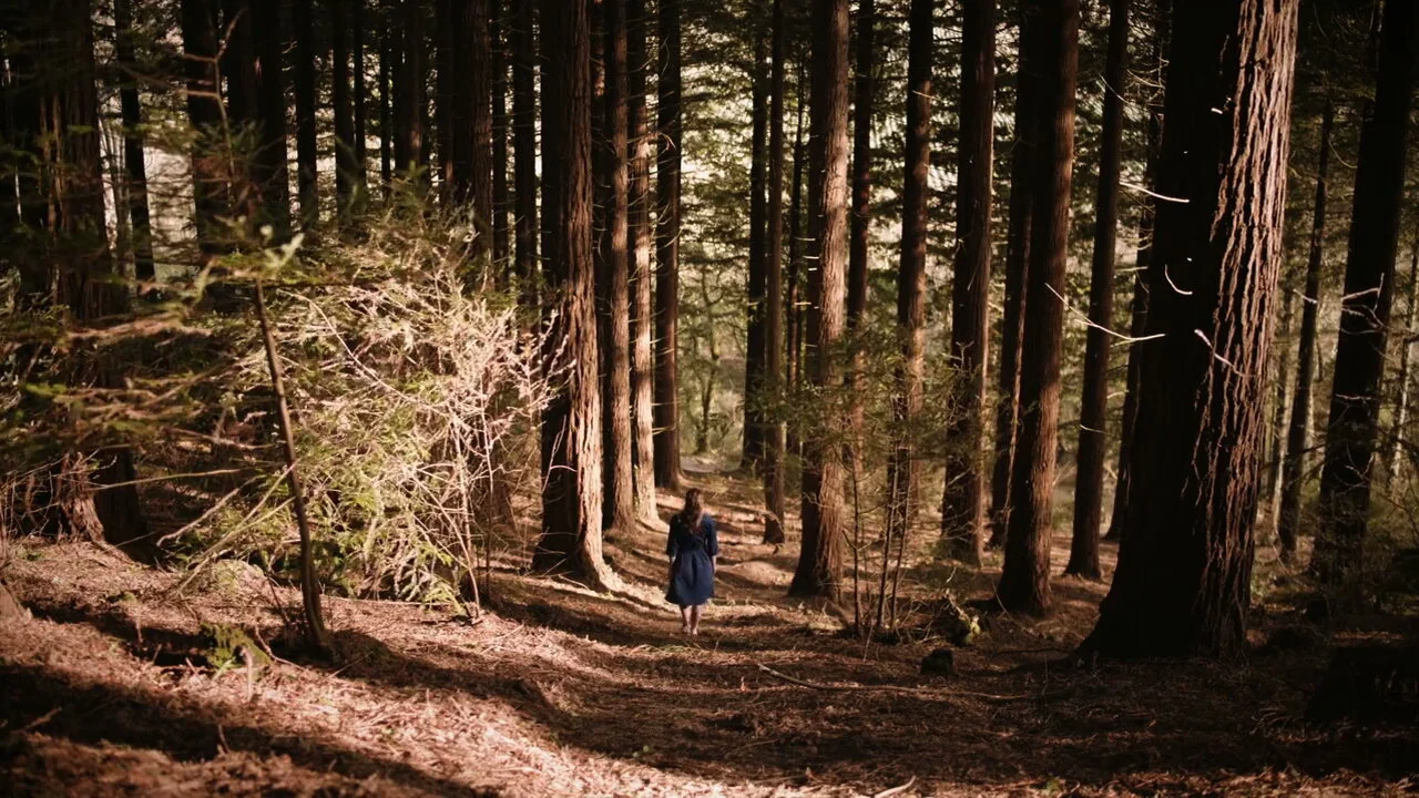 WAVERING DOWN E3.jpeg