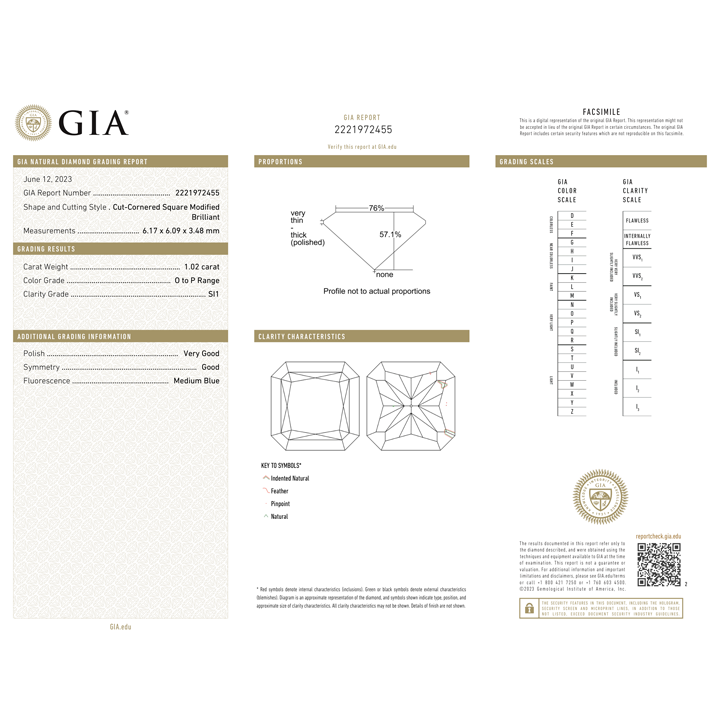 SN110-GIA-2221972455.png