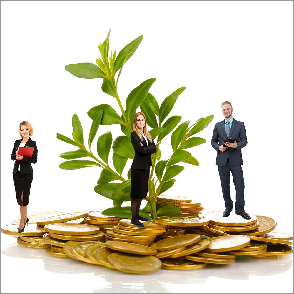 coin_leaf.jpg