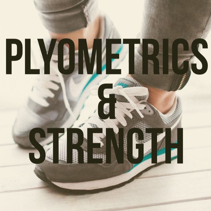 Fit mom workout- plyometrics &amp; strength 