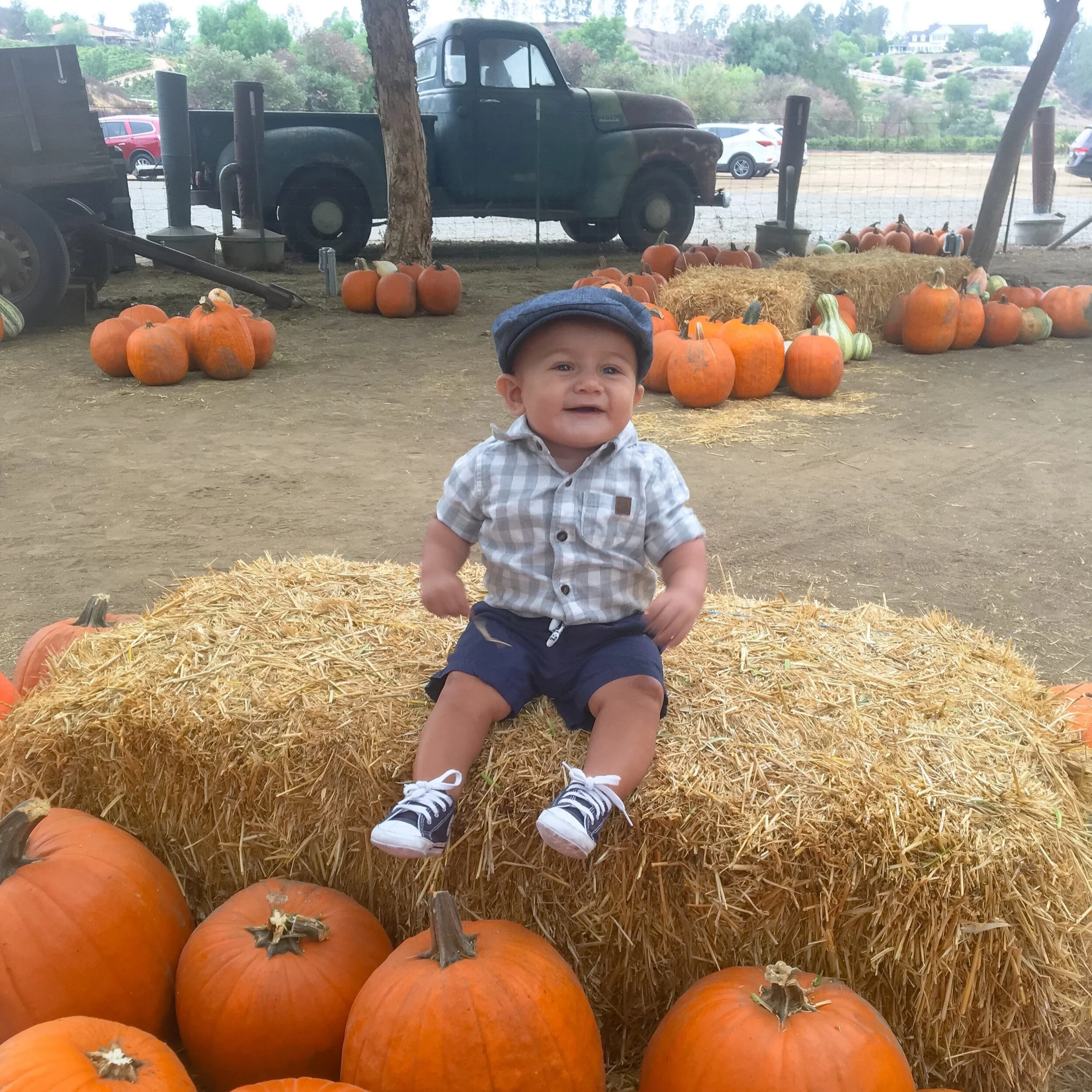 The best pumpkin patch you need to visit this halloween 