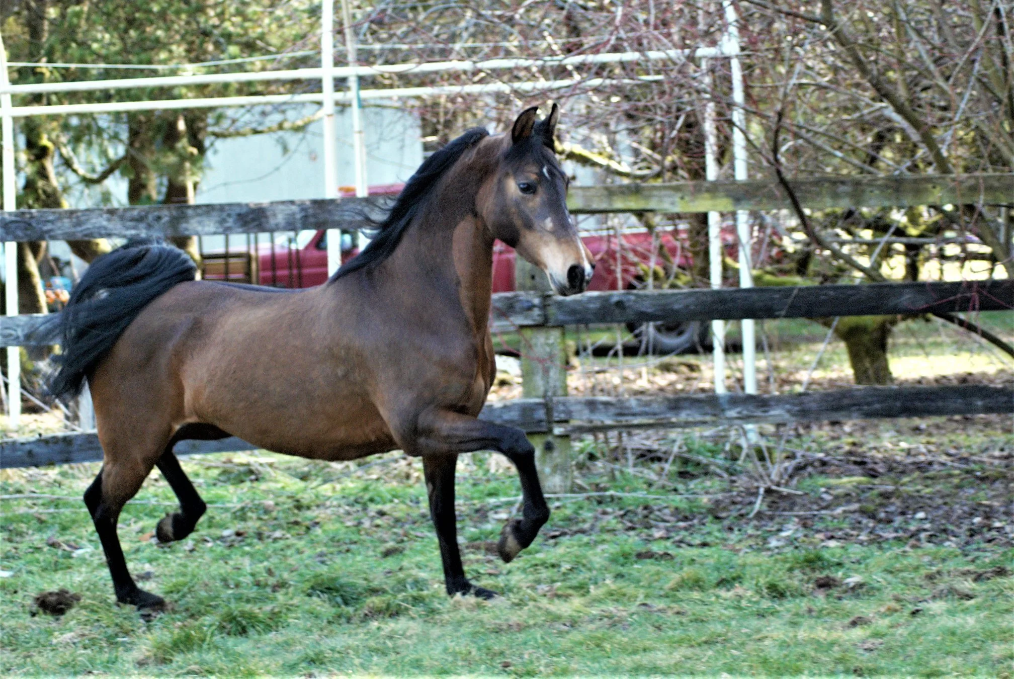 Ensbrook Simple Answers - SOLD