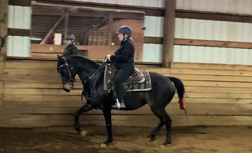 Ensbrook Mariska - SOLD