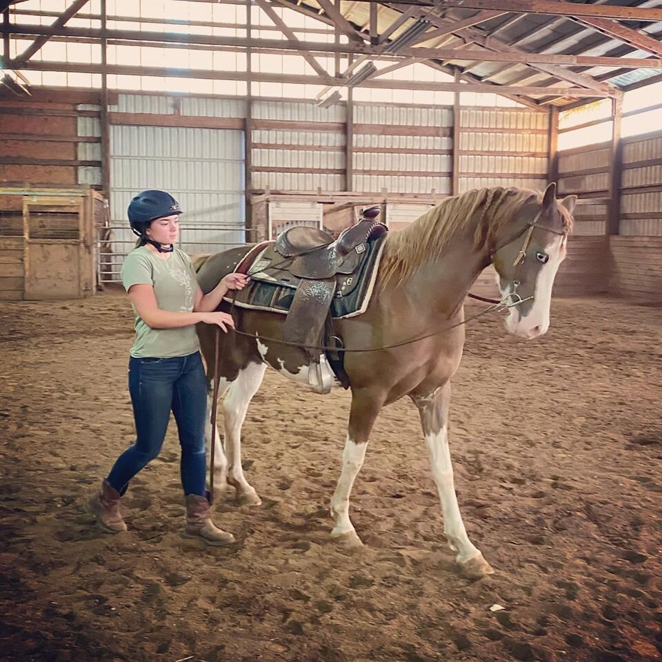 Training - Young Stock