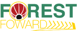 Forest Forward logo.png