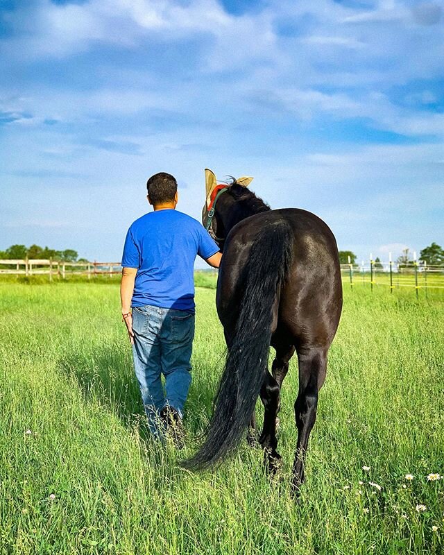 Can&rsquo;t wait for this weekend! The sun is out, the clouds are gone, and the horses are so happy to be out in the pastures. Who else is planning on being outdoors this weekend?