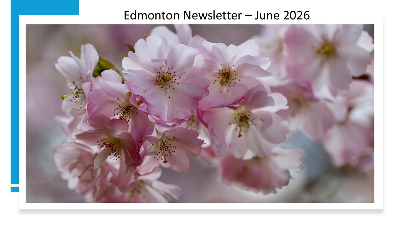 Edmonton Newsletter June 26.png