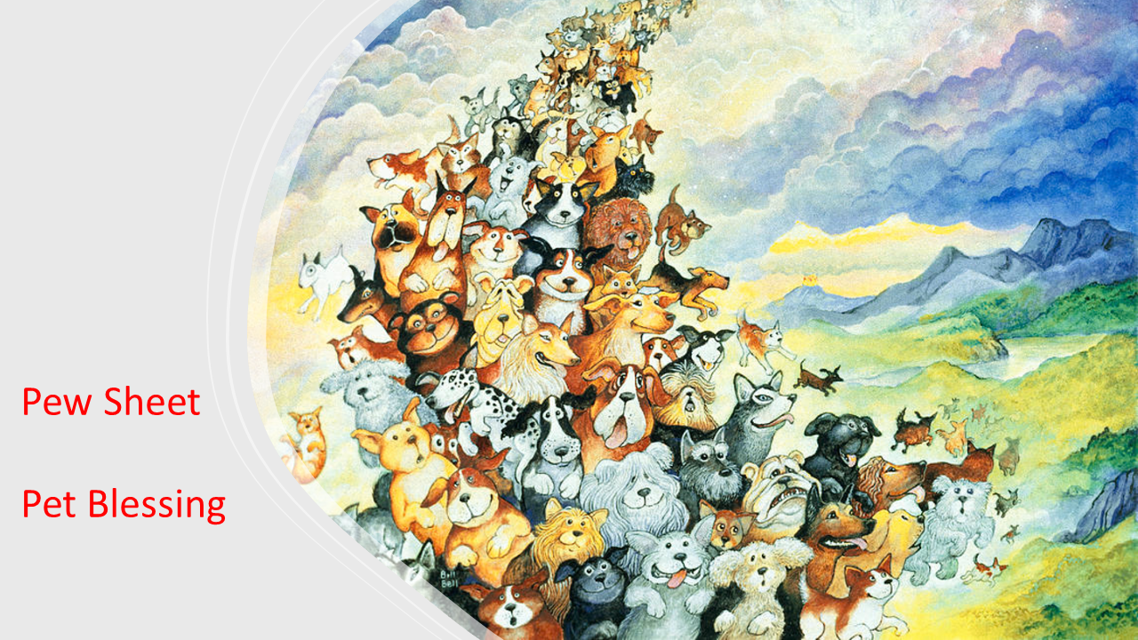 Pet Blessing.png