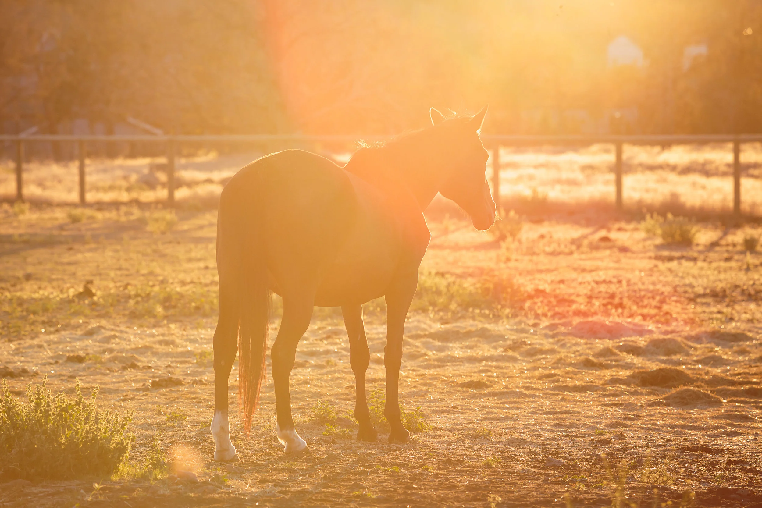 Enjoying those magical Central Oregon sunsets.