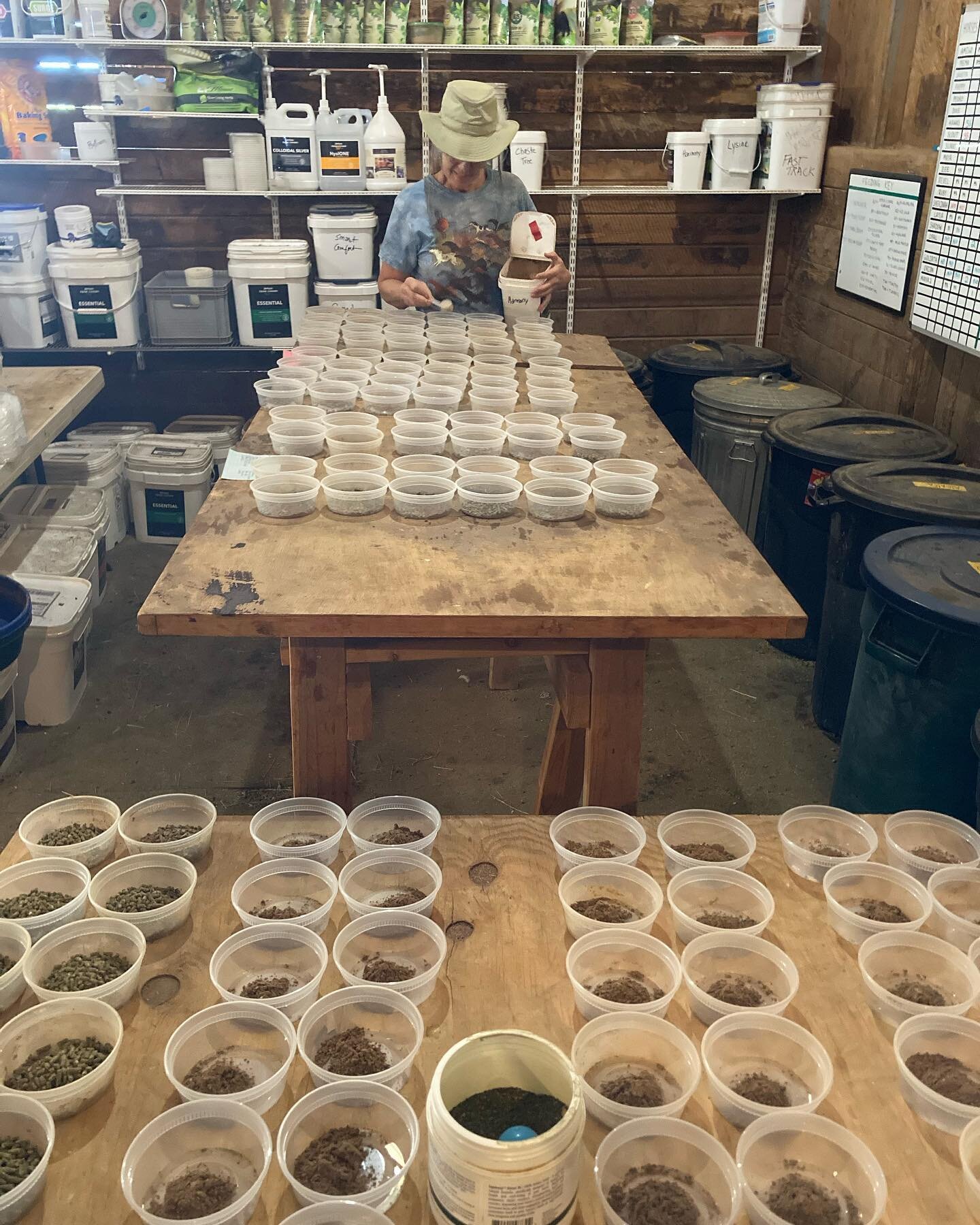 Today was container prep day! Every horse in our herd receives personalized nutrition with supplements tailored specifically for their needs. It&rsquo;s one of the most important reasons we have such a happy healthy herd!