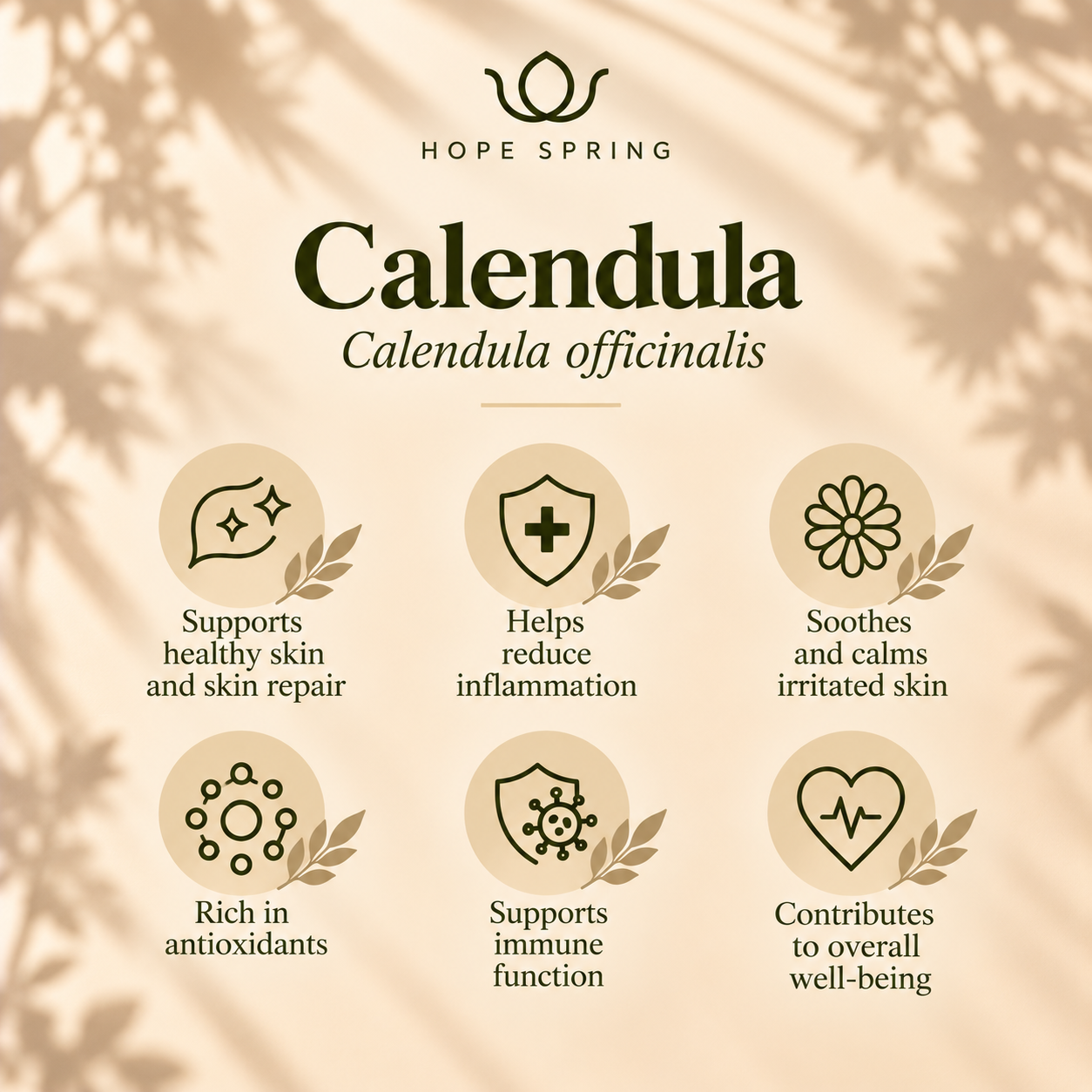 Calendula Botanical Wellness Infographic.png