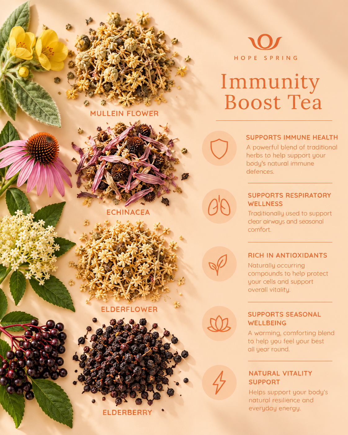 Immunity  Boost Tea - Key Benefits.png