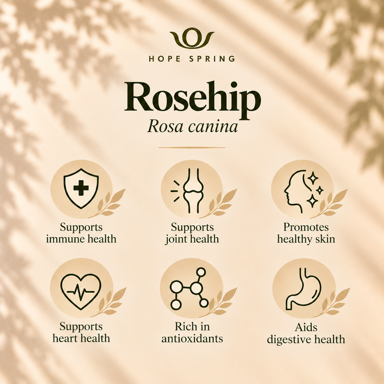 Rosehip Botanical Wellness Infographic.png
