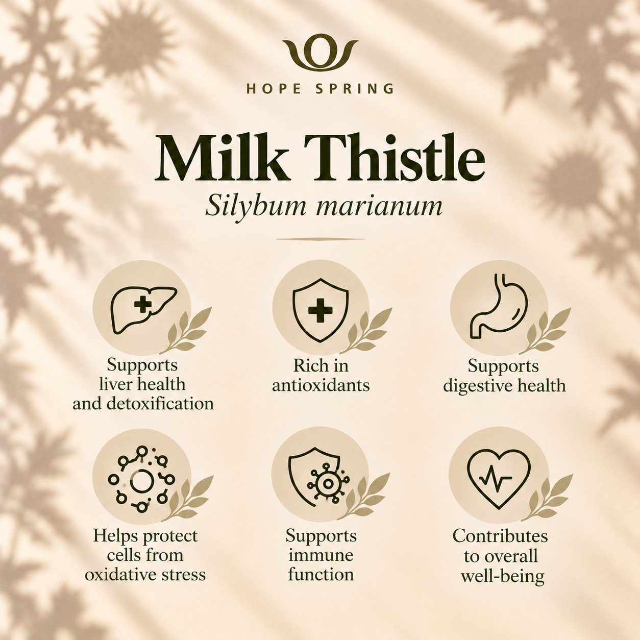 Milk Thistle Wellness Benefits.png