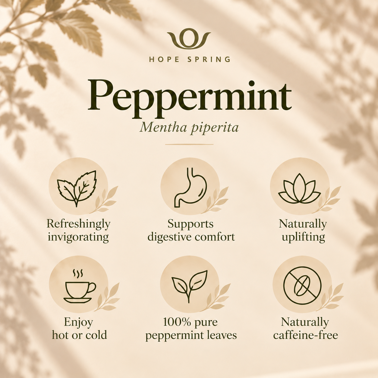 Peppermint Wellness Infographic.png