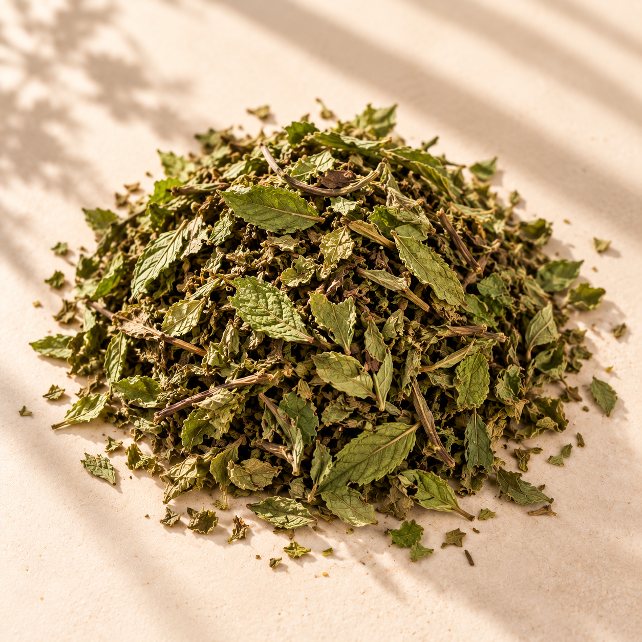 Peppermint (Mentha × piperita)