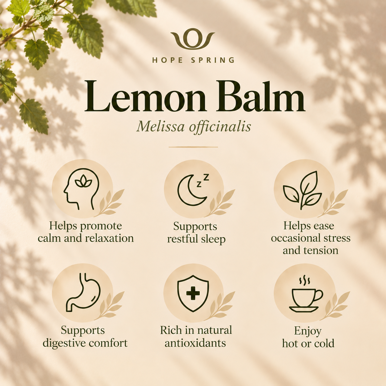 Lemon Balm Wellness Infographic.png
