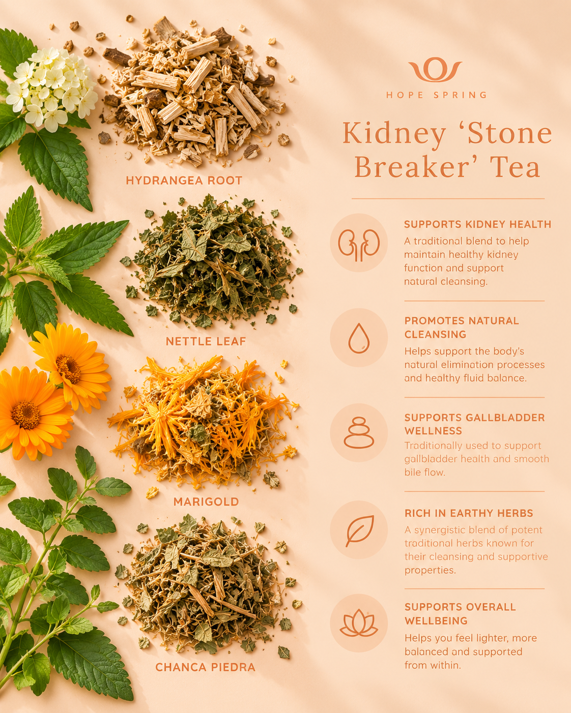 Kidney ‘Stone Breaker’ Tea - Key Benefits.png