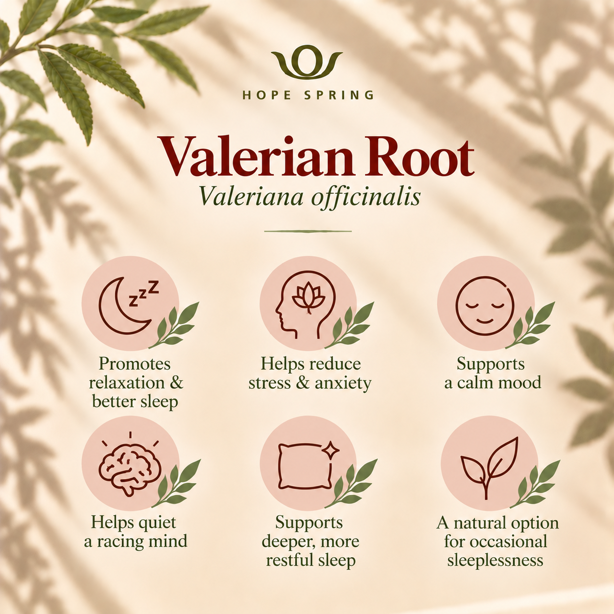 Valerian Root Wellness Infographic.png