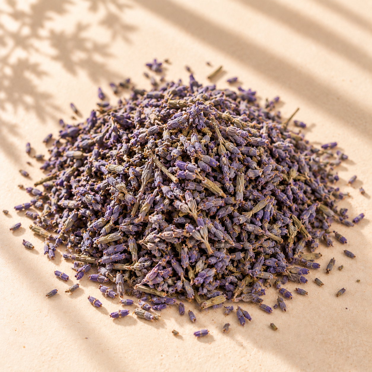 Lavender (Lavandula angustifolia)