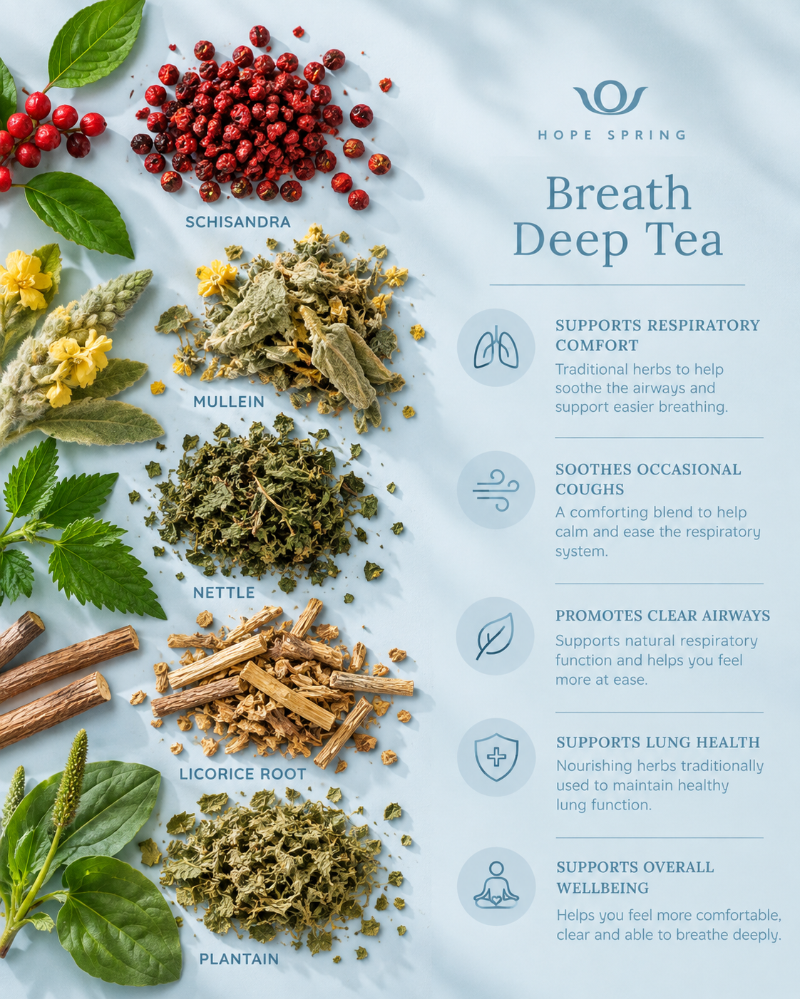 Breath Deep Tea - Key Benefits.png