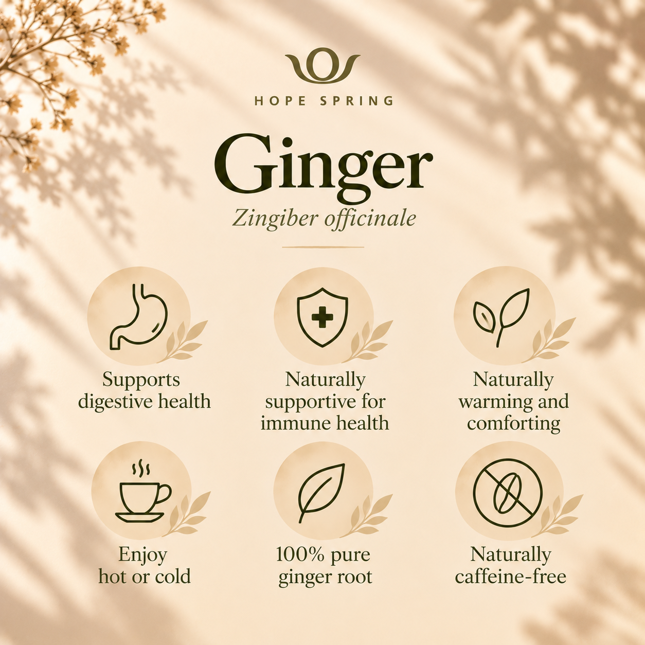 Ginger Herbal Benefits Infographic.png